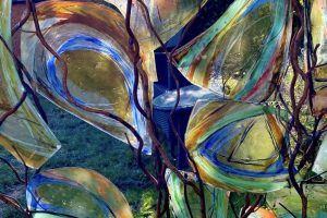 41EF147E-5429-415A-8564-6EDBA9CDD810_1_201_a